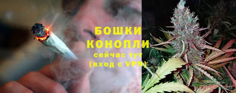 Конопля OG Kush  Заозёрск 